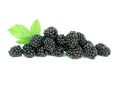 Blackberries Royalty Free Stock Photo