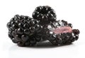 Blackberries Royalty Free Stock Photo