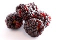 Blackberries against white Royalty Free Stock Photo