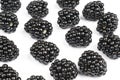 Blackberries background. Blackberry fruits isolated over white background with clipping path. Macro shot fresh juicy blackberry Royalty Free Stock Photo