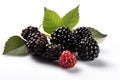 Blackberries on background. Juicy black berries, fresh and sweet.
