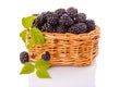 Blackberries in the basket