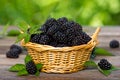 Blackberries in the basket