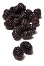 Blackberries Black Raspberries