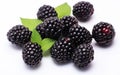 Blackberries Bunch on White Background -Generative Ai Royalty Free Stock Photo