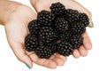 Blackberries