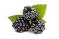 Blackberries close-up Royalty Free Stock Photo