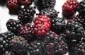 Blackberries in a colander to be rinsed