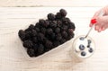 Blackberries in a container of yogurt with blueberries, spoon in a female hand Royalty Free Stock Photo