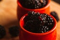 Blackberries in a cup on blurred background of wooden planks Royalty Free Stock Photo