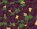 Blackberries delicious dessert background