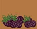 Blackberries delicious dessert background