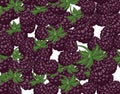 Blackberries delicious dessert background