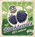 Blackberries farm vintage promo poster