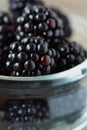 Blackberries macro Royalty Free Stock Photo