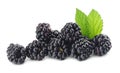 Blackberries with green leaf isolated on white background. macro Royalty Free Stock Photo