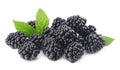 blackberries with green leaf isolated on white background. macro Royalty Free Stock Photo