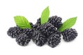 blackberries with green leaf isolated on white background. macro Royalty Free Stock Photo