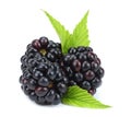 Blackberries with green leaf isolated on white background. macro Royalty Free Stock Photo