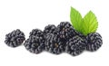 blackberries with green leaf isolated on white background. macro Royalty Free Stock Photo