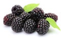 Blackberries Group Isolated on White Background -Generative Ai Royalty Free Stock Photo