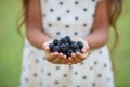 Blackberries hands full