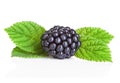 Blackberries isolated on white