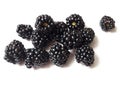 Blackberries isolated on white background. Mure Royalty Free Stock Photo