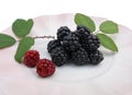 Blackberries and leaves