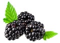 blackberries with leaves isolated on white background. healthy background Royalty Free Stock Photo