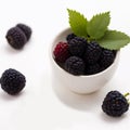 Blackberries with leaves in a plate. Berries on a white background. Generative AI