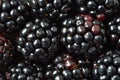 Blackberries macro background