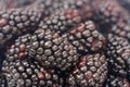 Blackberries macro selective focus