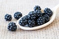 Blackberries macro shot Royalty Free Stock Photo