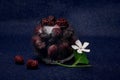 Blackberries in a misted round glass vase and a white flower on a dark blue background Royalty Free Stock Photo