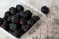 Blackberries in plastic clamshell