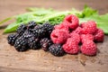 Blackberries and raspberries