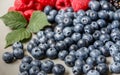 Blackberries, raspberries and blueberries Royalty Free Stock Photo