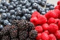 Blackberries, raspberries and blueberries Royalty Free Stock Photo