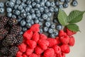 Blackberries, raspberries and blueberries Royalty Free Stock Photo