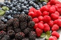 Blackberries, raspberries and blueberries Royalty Free Stock Photo