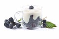 Blackberries Rubus fruticosus, dessert with cream in a glass Royalty Free Stock Photo