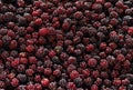 Blackberries textured background, fresh forest wild berry Royalty Free Stock Photo
