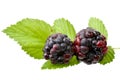 Blackberries