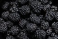 Blackberries on a white background, ripe fresh berries macro photo