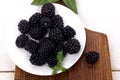 Blackberries - wild berry Royalty Free Stock Photo