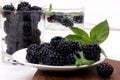 Blackberries - wild berry Royalty Free Stock Photo