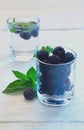 Blackberries - wild berry Royalty Free Stock Photo