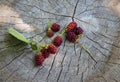 Blackberries on wooden natural background