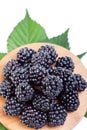 Blackberries on wooden plate Royalty Free Stock Photo
